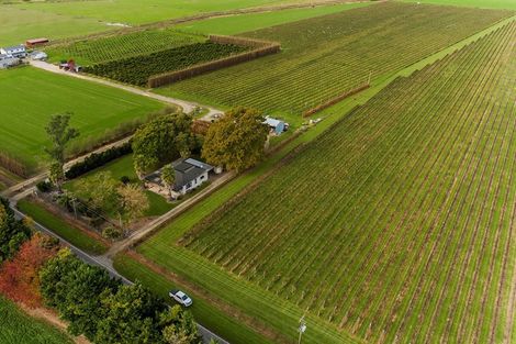 Photo of property in 144 Ngakoroa Road, Ormond, Gisborne, 4071