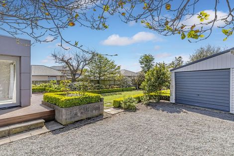 Photo of property in 8 Collins Street, Addington, Christchurch, 8024