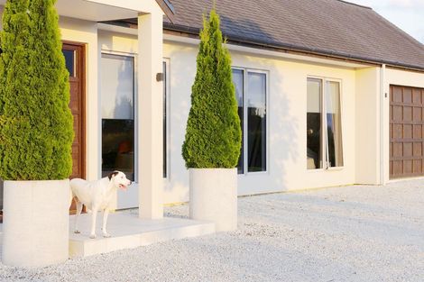 Photo of property in 337 Ararimu Valley Road, Helensville, Waimauku, 0882