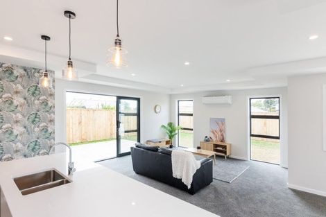 Photo of property in 13a Saxton Street, Levin, 5510