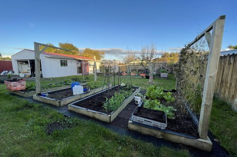 Photo of property in 6 Orelio Street, Hillcrest, Hamilton, 3216