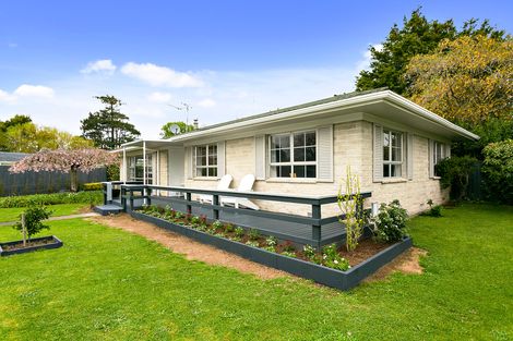 Photo of property in 16 Walpole Street, Leamington, Cambridge, 3432