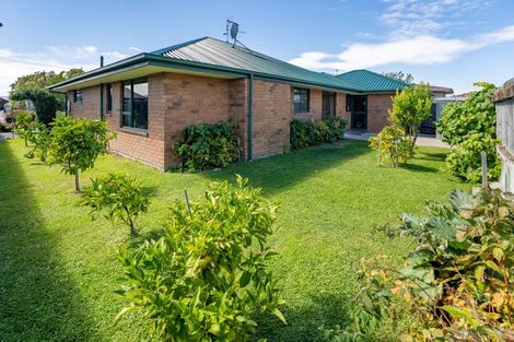 Photo of property in 15 Pitchill Street, Mayfield, Blenheim, 7201