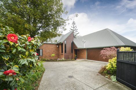 Photo of property in 41 Ihaka Street, Hokowhitu, Palmerston North, 4410