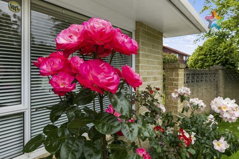 Photo of property in 12 De Menech Grove, Avalon, Lower Hutt, 5011