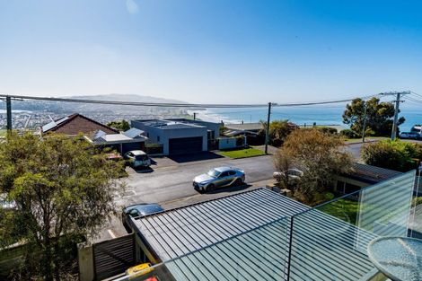 Photo of property in 61d Earls Road, Saint Clair, Dunedin, 9012