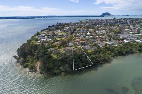 Photo of property in 43 Rewarewa Place, Matua, Tauranga, 3110