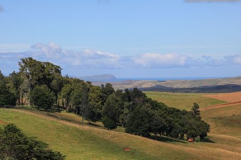 Photo of property in 110 Newton Road, Raglan, Te Mata, 3894