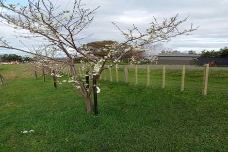 Photo of property in 64 Mount Biggs Road, Halcombe, Feilding, 4779