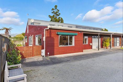 Photo of property in 41a Keepa Street, Levin, 5510