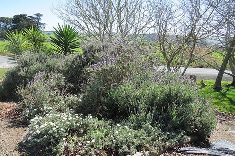 Photo of property in 127 Matakohe East Road, Matakohe, 0593