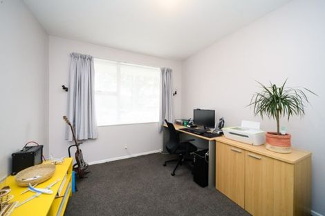 Photo of property in 478b College Street, Hokowhitu, Palmerston North, 4410