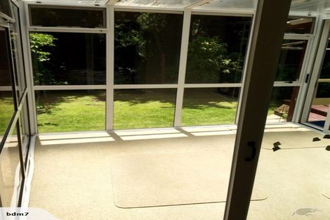 Photo of property in 19 Cranwell Place, Hillcrest, Hamilton, 3216