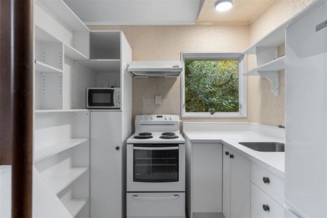 Photo of property in 64 Wellington Street, Hamilton East, Hamilton, 3216