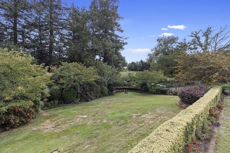 Photo of property in 18 Maple Place, Morrinsville, 3300