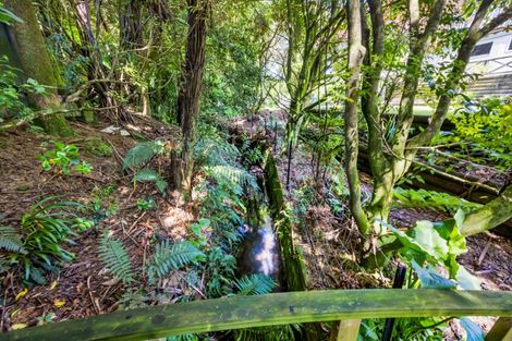 Photo of property in 24 Cassandra Street, Stratford, 4332