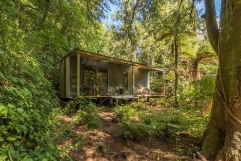 Photo of property in 1162a No 3 Road, Te Puke, 3183