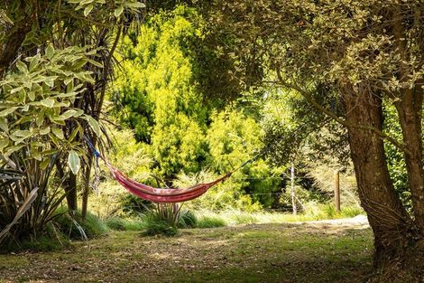 Photo of property in 49 Mangotahi Road, Thames, 3577