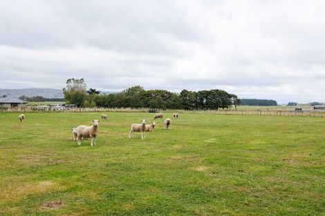 Photo of property in 21 Meavy Lane, Ashhurst, Palmerston North, 4470