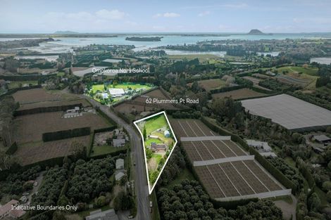 Photo of property in 62 Plummers Point Road, Whakamarama, Tauranga, 3172