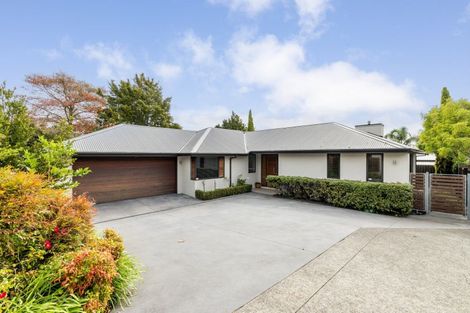 Photo of property in 9b Gillean Street, Havelock North, 4130