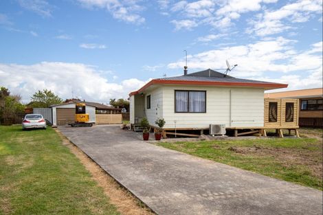 Photo of property in 14 Miller Place, Ngatea, 3503