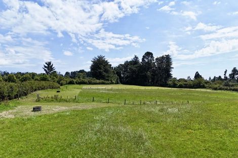 Photo of property in 114 Dudley Road Upper, Inglewood, 4386