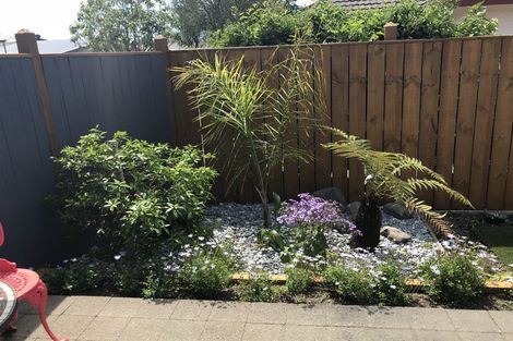 Photo of property in 63 Halifax Street East, The Wood, Nelson, 7010