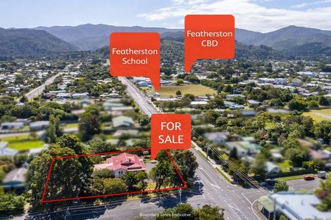 Photo of property in 100 Revans Street, Featherston, 5710