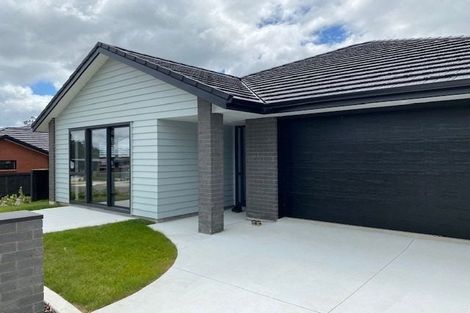 Photo of property in 254 Adler Drive, Ohauiti, Tauranga, 3112