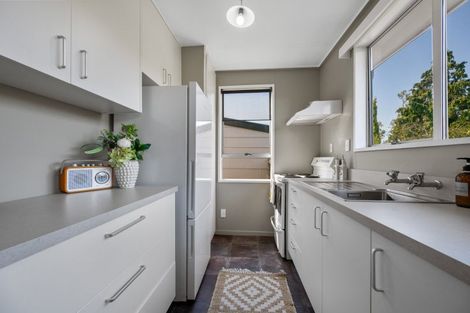 Photo of property in 66 Molyneux Avenue, Cromwell, 9310