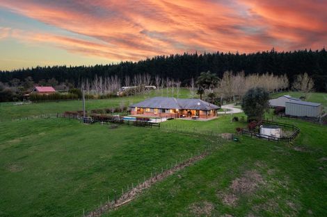 Photo of property in 255 Ararimu Valley Road, Helensville, Waimauku, 0882