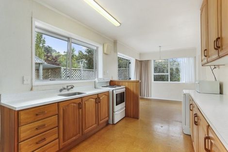 Photo of property in 58 Mayfair Crescent, Mairangi Bay, Auckland, 0630