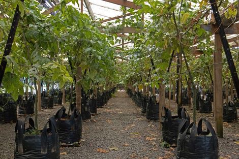 Photo of property in 2 Stokes Road, Tahawai, Katikati, 3170