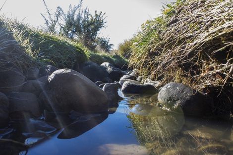 Photo of property in 538 Ashley Road, Starvation Hill, Oxford, 7471