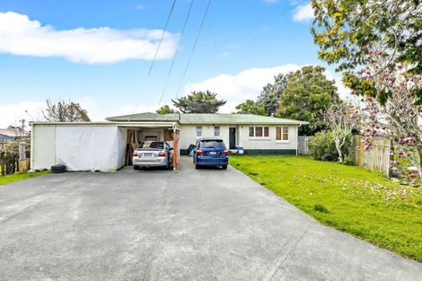 Photo of property in 20 Picton Street, Papatoetoe, Auckland, 2024