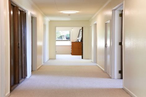 Photo of property in 38 Littlebourne Road, Roslyn, Dunedin, 9010