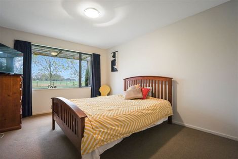 Photo of property in 222 Tinwald Westerfield Mayfield Road, Tinwald, Ashburton, 7771