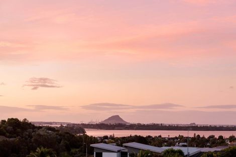 Photo of property in 17 Greenvale Place, Welcome Bay, Tauranga, 3112