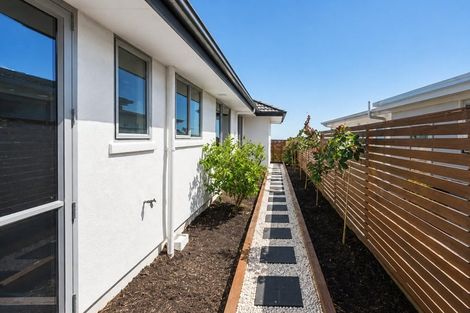 Photo of property in 24 Citrus Lane, Enner Glynn, Nelson, 7011
