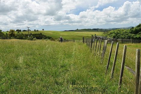 Photo of property in 52 Gallie Branch Road, Matakohe, 0594