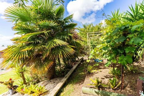 Photo of property in 16 Cobham Avenue, Dargaville, 0310