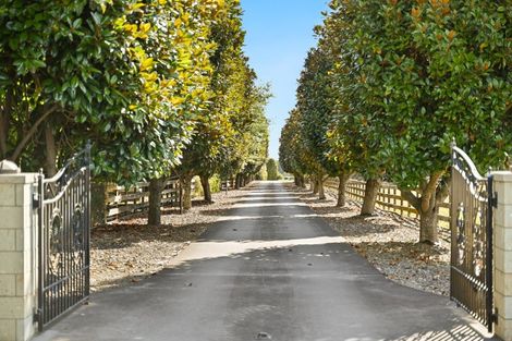 Photo of property in 144b Pencarrow Road, Tamahere, Hamilton, 3283