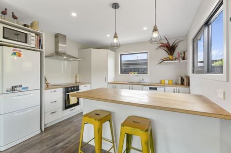 Photo of property in 32 Perriam Place, Mount Pisa, Cromwell, 9383