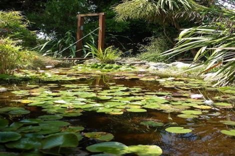 Photo of property in 49 Brougham Street, Nelson South, Nelson, 7010