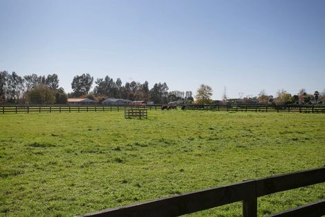 Photo of property in 1659 Cambridge Road, Cambridge, Hamilton, 3283