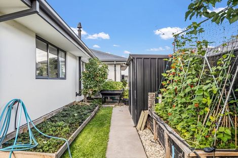 Photo of property in 6 Clegg Street, Woodend, 7610