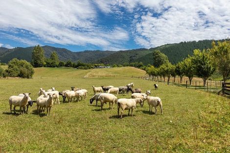 Photo of property in 22 Hebberds Road, Rai Valley, 7192