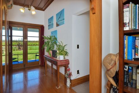 Photo of property in 17 Cemetery Road, Patutahi, Gisborne, 4072