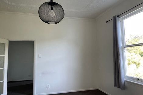 Photo of property in 494 South Road, Calton Hill, Dunedin, 9012